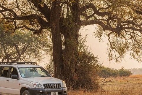 Self driving South Luangwa