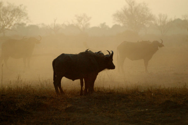 Travel in this new normal