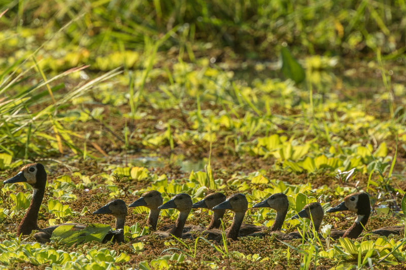 Avoid the crowds in South Luangwa