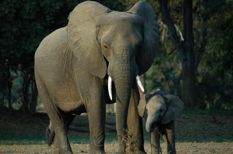 Taking care of each other