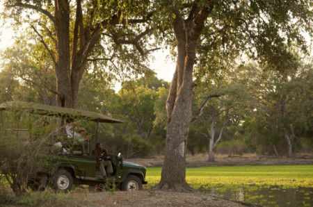 Enjoy a professional safari drive