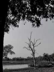Explore Nature