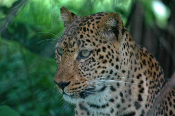 Personal Touch Safaris image 1402