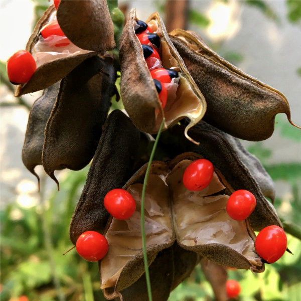 It's all about the detail at Personal Touch