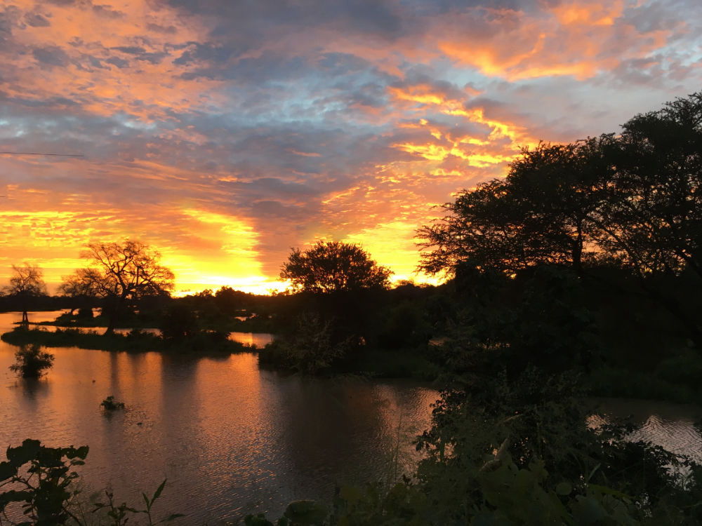 Safari dreaming in Zambia