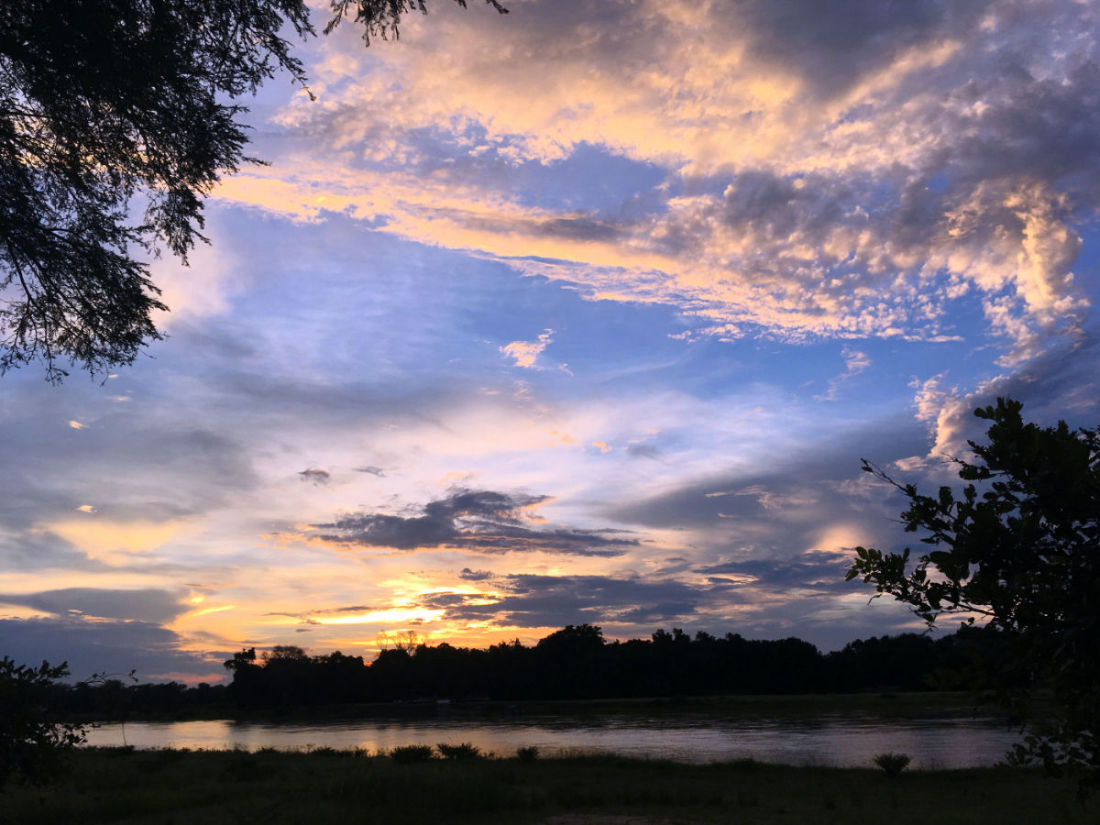 Taking it slow on your safari