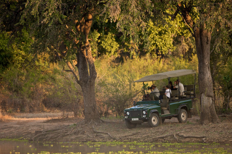 Personal Touch Safaris image 1427