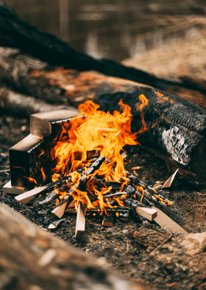 Zambian Bush Style cooking