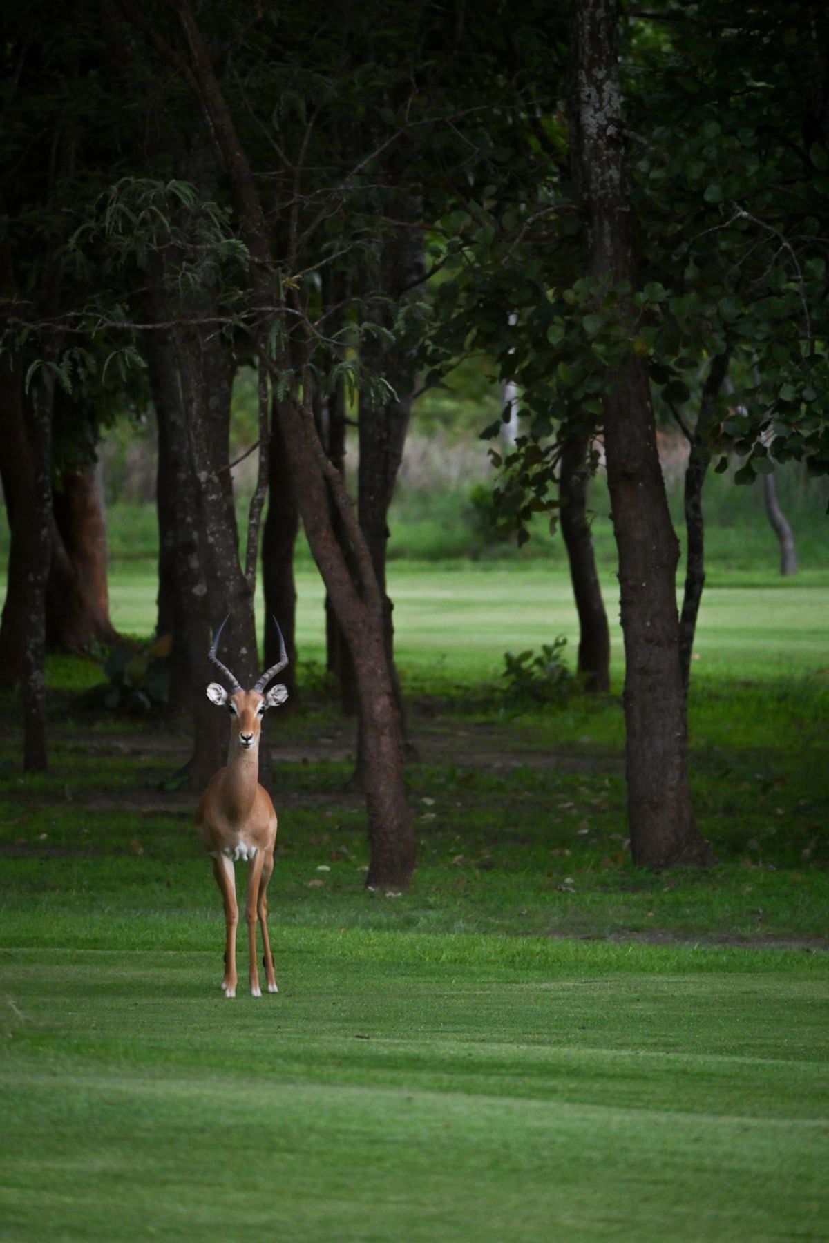 Finding your way in Zambia