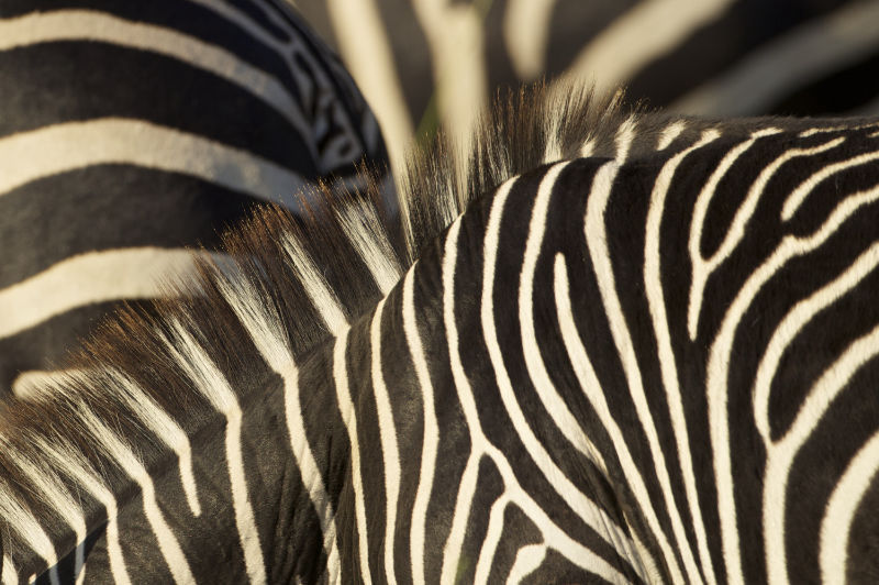 No stress about your bookings